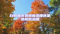 白蚁应该装修前治理还是装修后治理