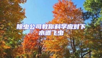 除虫公司教你科学应对下水道飞虫