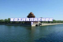 家庭怎样有效消灭蟑螂呢？