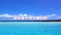 居民家中现大量白蚁