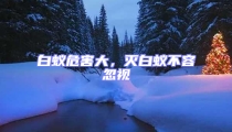 白蚁危害大,灭白蚁不容忽视