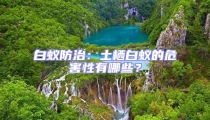 白蚁防治:土栖白蚁的危害性有哪些?