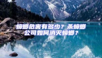 蟑螂危害有多少？杀蟑螂公司如何消灭蟑螂？