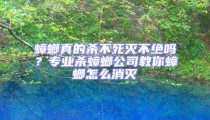蟑螂真的杀不死灭不绝吗？专业杀蟑螂公司教你蟑螂怎么消灭