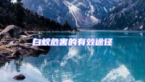 白蚁危害的有效途径