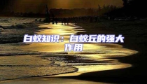 白蚁知识：白蚁丘的强大作用