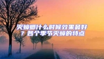 灭蟑螂什么时候效果最好？各个季节灭蟑的特点