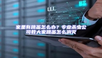 家里有跳蚤怎么办?专业杀虫公司教大家跳蚤怎么消灭
