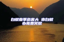 白蚁春季危害大 市白蚁办免费灭蚁