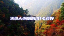 灭绝大小蟑螂用什么药好