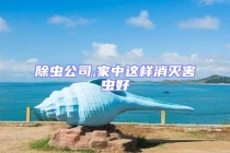 除虫公司,家中这样消灭害虫好