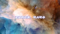 老鼠的危害,可大可小