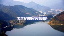 KTV如何灭蟑螂