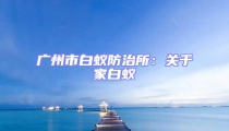 广州市白蚁防治所：关于家白蚁