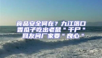 食品安全何在？九江落口香瓜子吃出老鼠＂干尸＂ 网友问厂家要＂良心＂