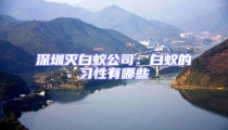 深圳灭白蚁公司:白蚁的习性有哪些