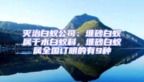 灭治白蚁公司：堆砂白蚁属于木白蚁科，堆砂白蚁属全国订明的有9种