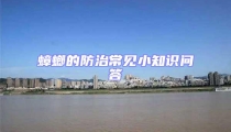 蟑螂的防治常见小知识问答