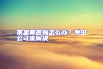 家里有苍蝇怎么办？除虫公司来解决