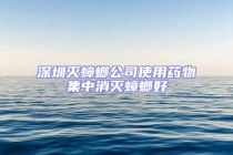 深圳灭蟑螂公司使用药物集中消灭蟑螂好