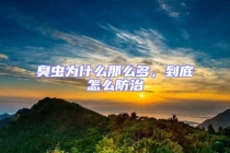 臭虫为什么那么多，到底怎么防治