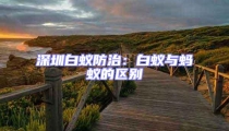 深圳白蚁防治：白蚁与蚂蚁的区别
