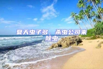 夏天虫子多，杀虫公司来除虫