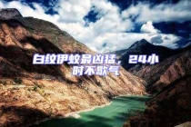 白纹伊蚊最凶猛，24小时不歇气