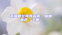 杀蟑螂公司告诉你，蟑螂是否“冬眠”