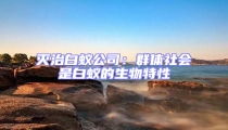 灭治白蚁公司:群体社会是白蚁的生物特性
