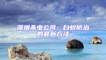 深圳杀虫公司:白蚁防治的最新方法