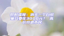 即时播报：消灭一个白蚁巢穴要花3000元？ 高价吓退市民