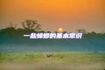 一些蟑螂的基本常识