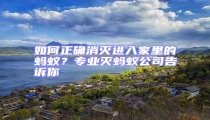 如何正确消灭进入家里的蚂蚁?专业灭蚂蚁公司告诉你