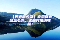 【灭老鼠公司】家里有老鼠怎么办，这些方法请收藏！