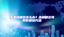 家里蟑螂多怎么办？杀蟑螂公司教你最佳方法
