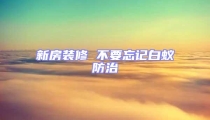 新房装修 不要忘记白蚁防治
