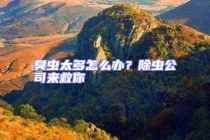 臭虫太多怎么办？除虫公司来救你