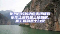 炮台白蚁防治危害河堤和水库土坝的是土栖白蚁，最主要的是土白蚁