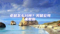 老鼠怎么分辨？灭鼠公司来教你