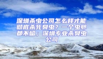 深圳杀虫公司怎么样才能彻底杀死臭虫？一个虫卵都不留；深圳专业杀臭虫公司