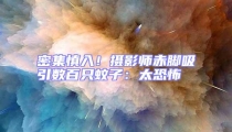 密集慎入！摄影师赤脚吸引数百只蚊子：太恐怖