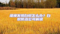 堤坝发现白蚁怎么办？白蚁防治公司解说