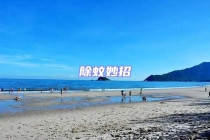 除蚊妙招
