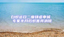 白蚁近日二度肆虐申城 专家半月后蚁害将消除