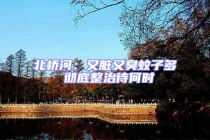 北桥河：又脏又臭蚊子多 彻底整治待何时