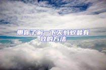 带你了解一下灭蚂蚁最有效的方法
