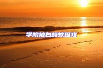 学院被白蚂蚁围攻