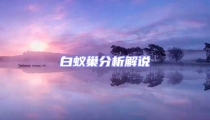 白蚁巢分析解说