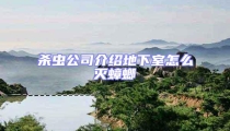 杀虫公司介绍地下室怎么灭蟑螂